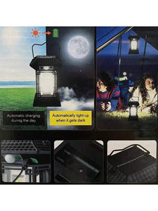 Solar Powered Induction Horse Light